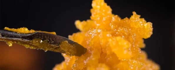 What is live resin? Learn everything you need to know.